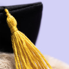 Jellycat Bashful Bunny Graduation Outfit